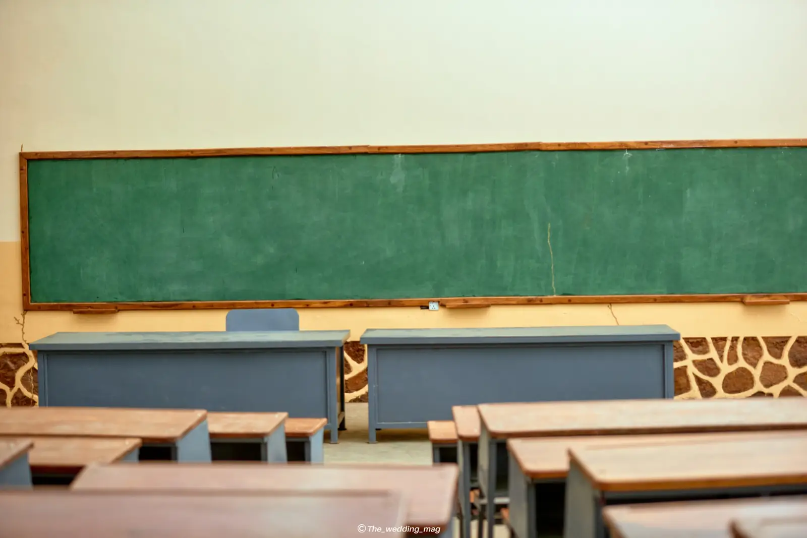Université Pléiade des Tropiques — photo 10