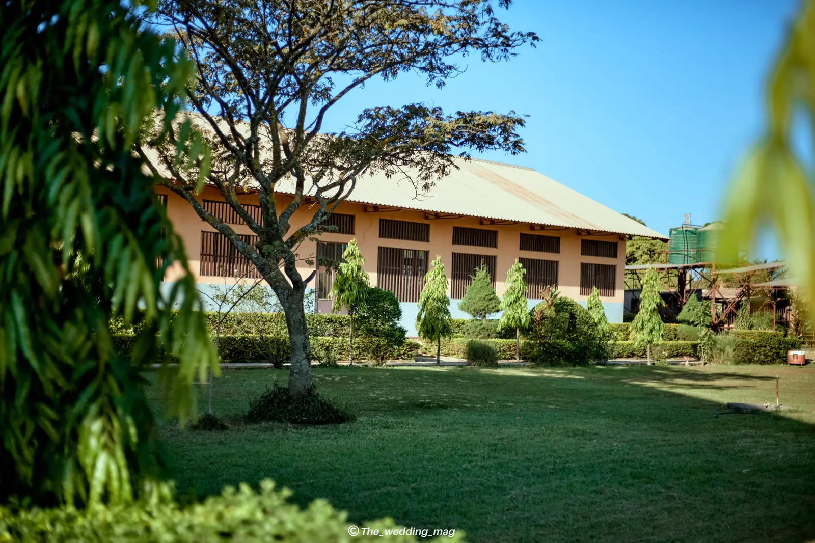 Université Pléiade des Tropiques — photo 18